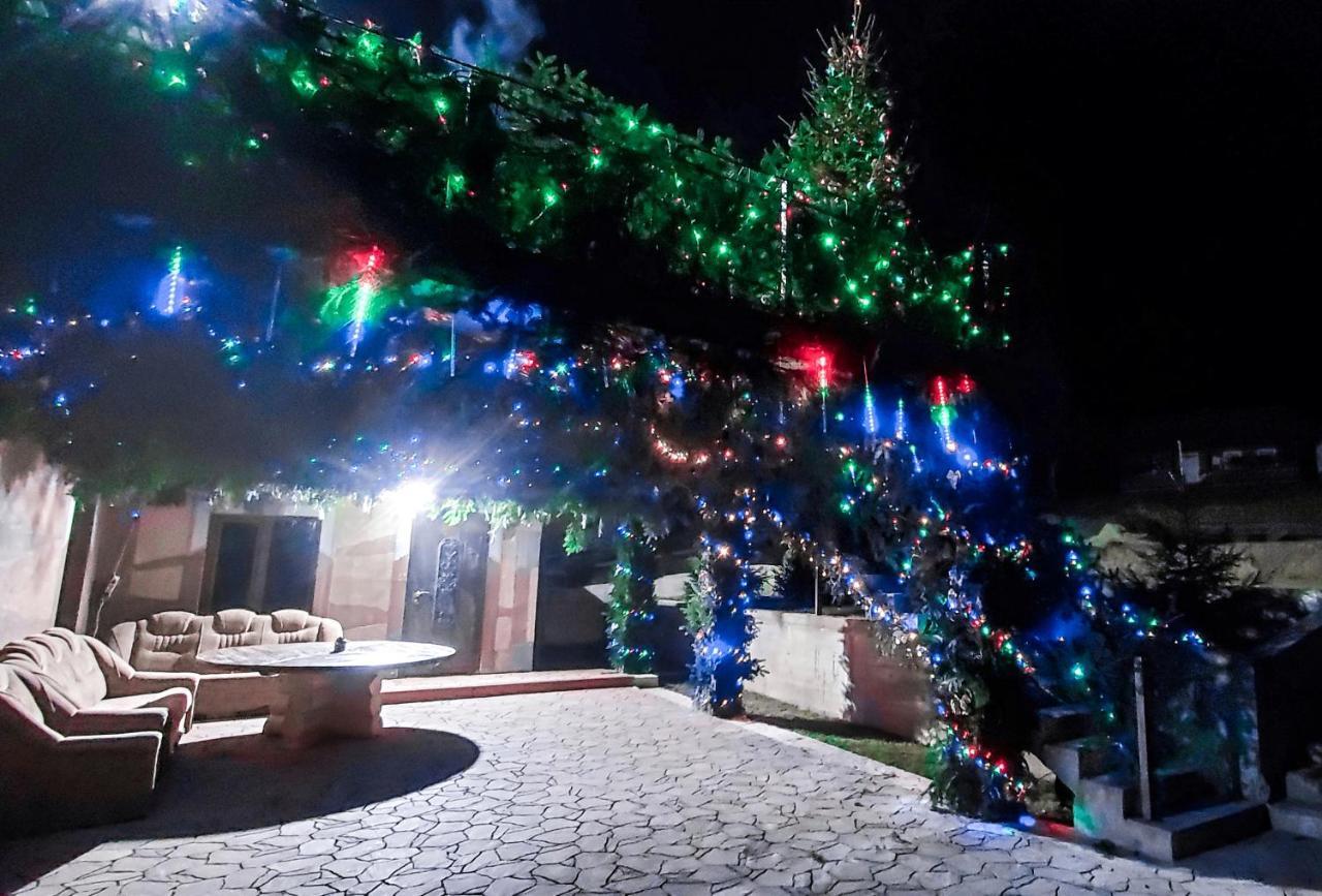 Галерея Карпат Plave Екстериор снимка